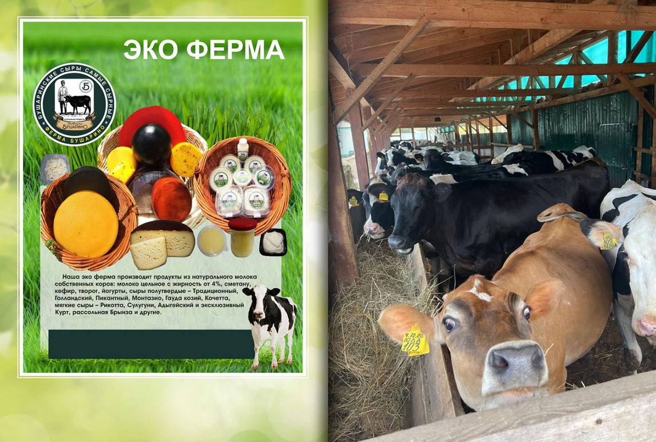 Эко ферма в деревне Бушарино Московской области Эко ферма в деревне Бушарино Одинцовского района Московской области